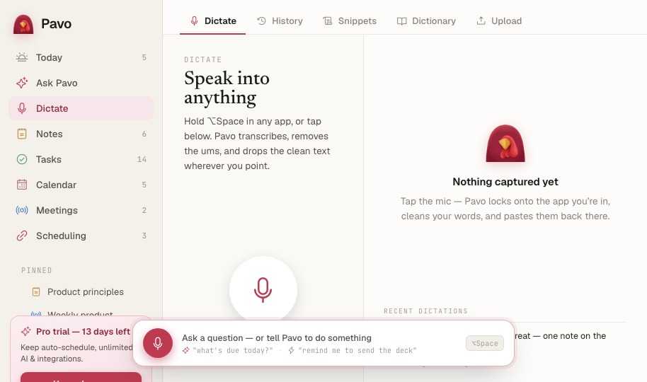 Pavo desktop Dictate screen